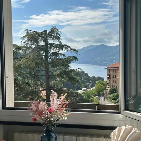 Castagneto 50 * كامولّي